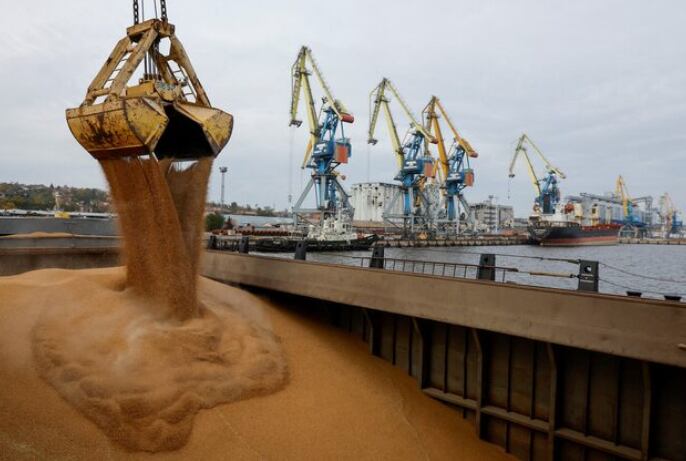 Rusia domina el negocio global del trigo, pero puertas adentro la carga impositiva debilita las chances de progreso del productor (Reuters)