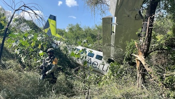avioneta NL