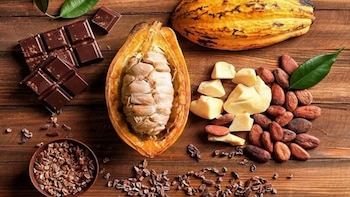 Perú honra al cacao y