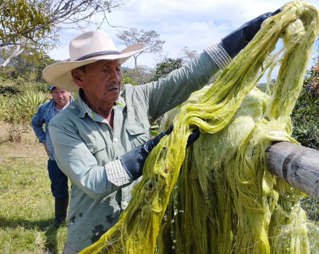 En el campo colombiano trabajan 5 millones de personas, marcando una cifra histórica de empleo rural, según la Upra - crédito Ministerio de Agricultura