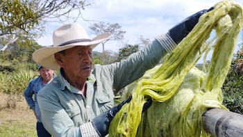 Nueva medida del Gobierno Petro hará que los dueños de fincas paguen más por contratar trabajadores: así les subiría el salario