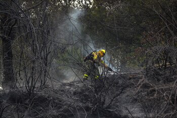 Imagen 2X3QIN6COJHWPDM4GE23S4G7AA