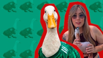 ¿Quieres un pato como Merlín? Influencer lanza advertencia ante la adopción de estas mascotas por el Mundial 2026