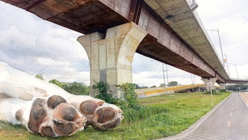 Habitantes de calle estarían lanzando perros desde un puente peatonal en el sur de Bogotá: alcalde de Kennedy confirmó denuncias