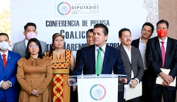 Partido Verde aseguró que se