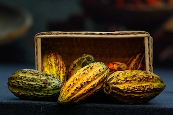 Entre las variedades que emplea destacan el cacao blanco, gran blanco de Piura, nativo de Amazonas, criollo de montaña de Pangoa y chucho, reconocidas entre las más finas y aromáticas del mundo.