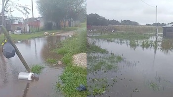 Consecuencias del ciclón extratropical en Mar del Plata: quedaron atrapados por las inundaciones y reclaman ayuda