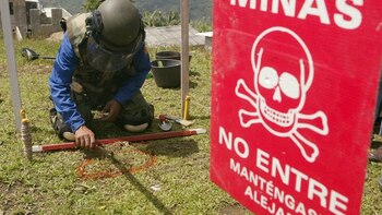 Cauca y Norte de Santander,