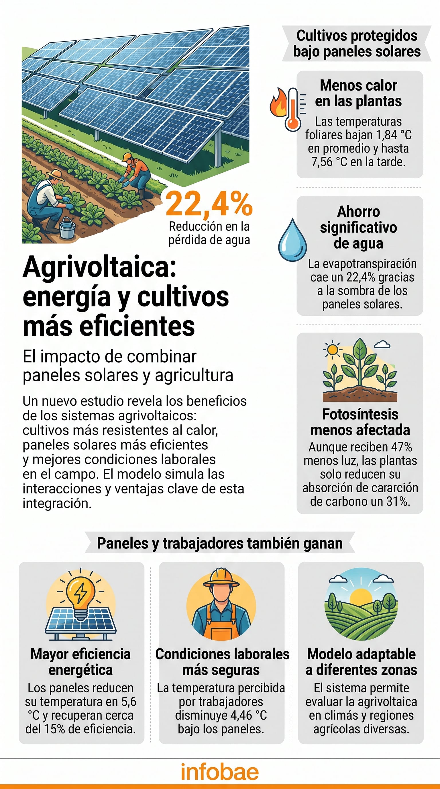 Una infografía de Infobae detalla los beneficios de combinar paneles solares y agricultura para optimizar la temperatura y la retención de agua en Estados Unidos (Imagen Ilustrativa Infobae)