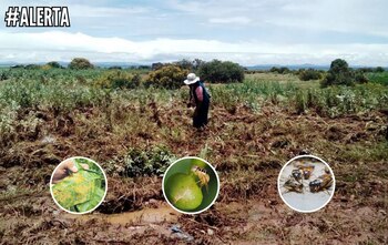 Alerta de otro tipo de