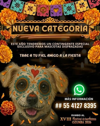 Cartel con un perro maquillado como calavera, flores de cempasúchil, papel picado, un número telefónico y texto sobre el Festival de las Ánimas