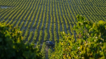 El agotamiento de las aguas subterráneas asociado a la agricultura es más grave de lo que se creía