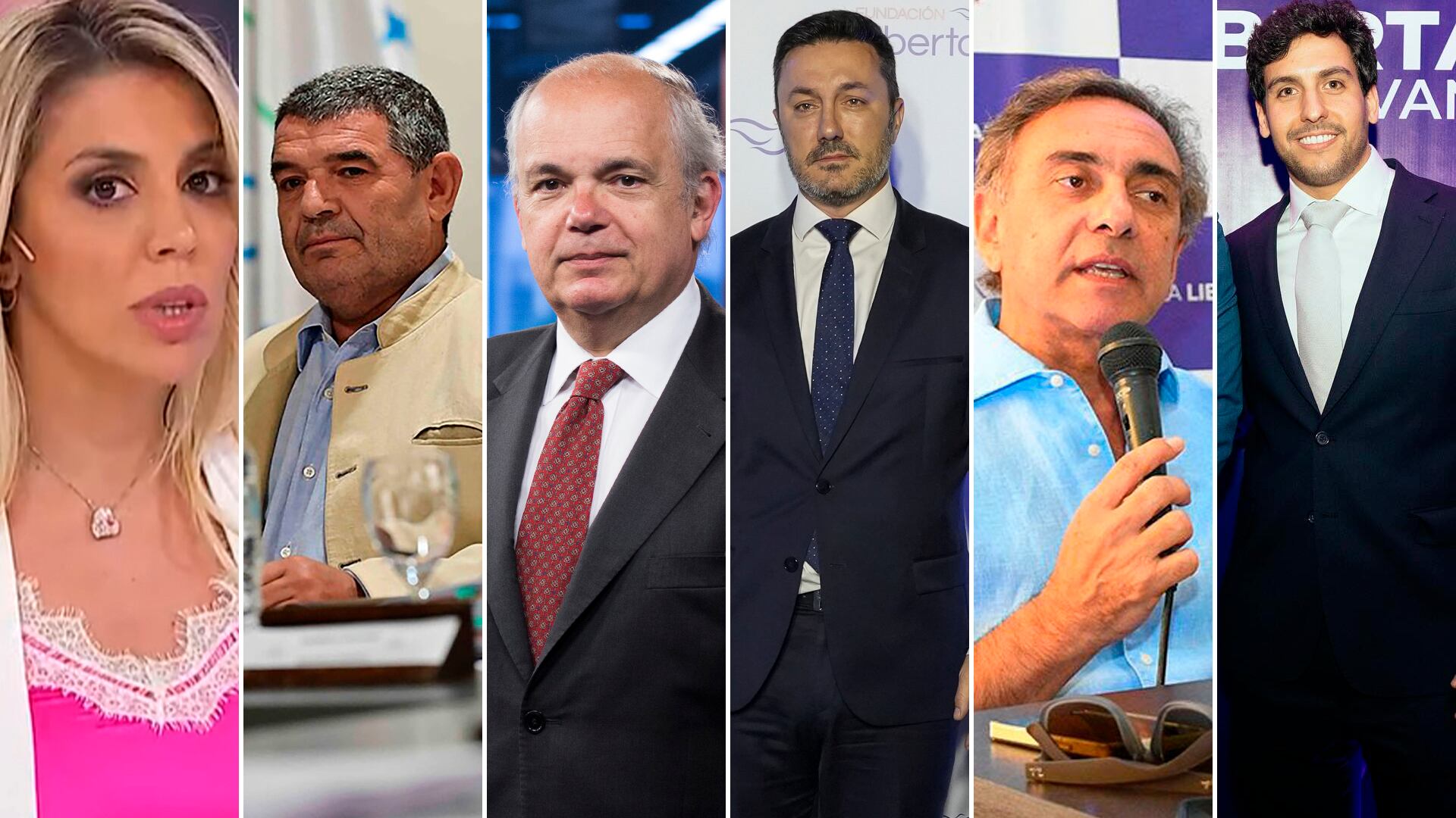 Virginia Gallardo, Alfredo Olmedo, Alejandro Fargosi, Luis Petri, Tomás Figueroa y Gino Visconti