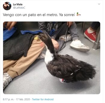 (Fuente: Twitter/@LaMalaC)