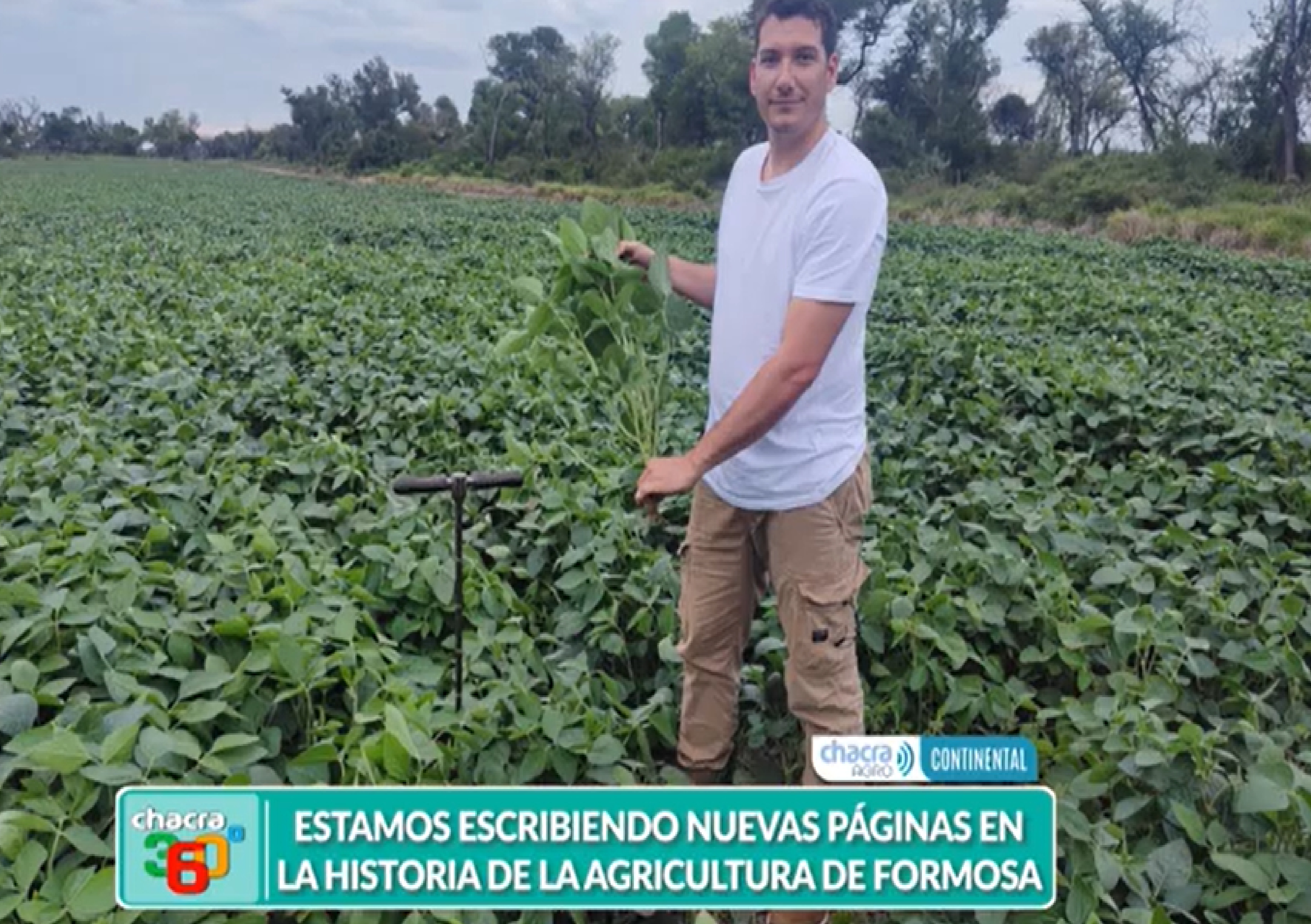 El ingeniero agrónomo, Diego Soneira es el propietario del primer lote de soja de la presente campaña en llegar al Puerto de Rosario. La oleaginosa fue cosechada en Formosa (Revista Chacra)