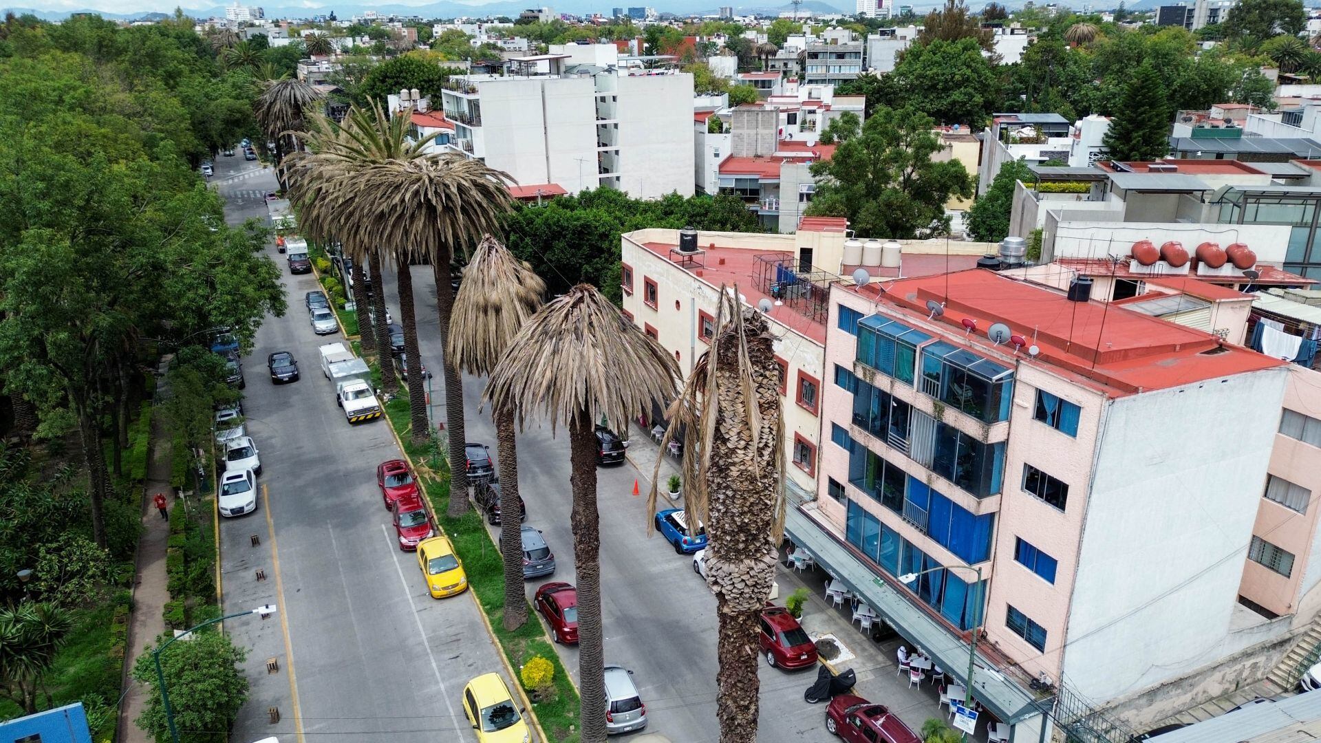 Medio ambiente y energía: retos clave para México en 2026.
FOTO: GALO CAÑAS/CUARTOSCURO.COM
