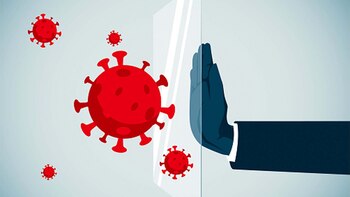 Sistema inmunitario innato: para los