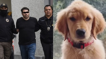 Asesino de tecladista de Camilo Séptimo también deberá pagar por la muerte de Nala, la perrita Golden Retriever