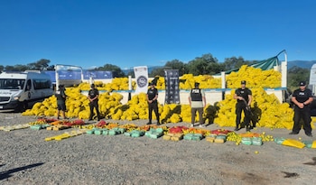 Varios oficiales de policía con chalecos de la PSA de pie frente a un camión lleno de bolsas amarillas de limones, junto a paquetes de drogas incautadas en el suelo