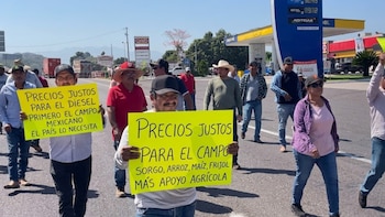 Paro nacional: transportistas reportan bloqueos en 20 estados pero autoridades reconocen cortes en solo nueve