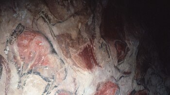 Un estudio confirma que los