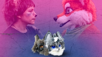 Cuál es la diferencia entre