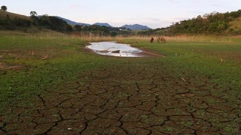 Por qué los científicos aseguran