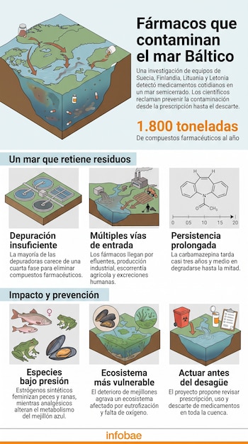 Infografía con un mapa del mar Báltico, frascos de remedios, peces, ranas, mejillones y esquemas de plantas de depuración y descarte.