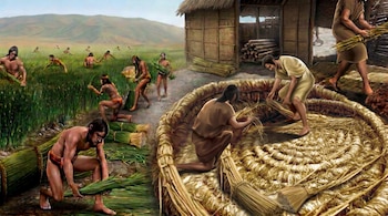 Ilustración de personas recolectando y tejiendo fibras vegetales en un campo, con estructuras de paja y chozas de madera al fondo