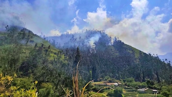 Incendios forestales en Apurímac llevan más de 10 días: piden helicópteros para sofocar las llamas