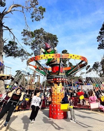 Con foco en la participación