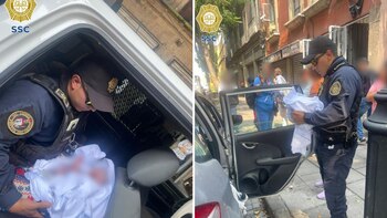 Los elementos de la SSC