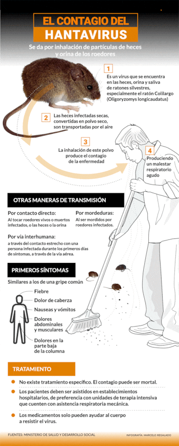 La principal vía de contagio es la inhalación de partículas virales de excrementos de roedores, en zonas rurales y estructuras cerradas.