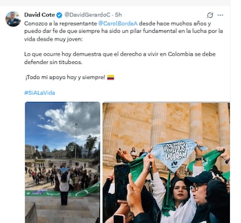 David Cote aplaudió el acto de Carol Borda, en medio del plantón feminista, en el Congreso de la República - crédito @DavidGerardoC/X