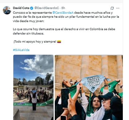 David Cote aplaudió el acto de Carol Borda, en medio del plantón feminista, en el Congreso de la República - crédito @DavidGerardoC/X
