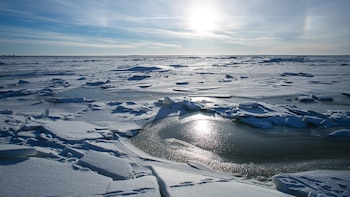 La actividad humana ha provocado el retroceso del glaciar que se derrite más rápidamente en la Antártida