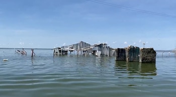 Edificios de chapa y madera parcialmente sumergidos en el agua. Se ven árboles, postes eléctricos y aves blancas posadas sobre los restos bajo un cielo azul