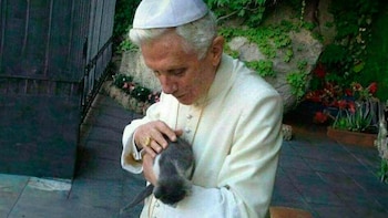Papa Benedicto XVI, gatos, mascotas, Iglesia Católica