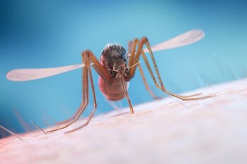 Con nuevas infecciones reportadas, expertos