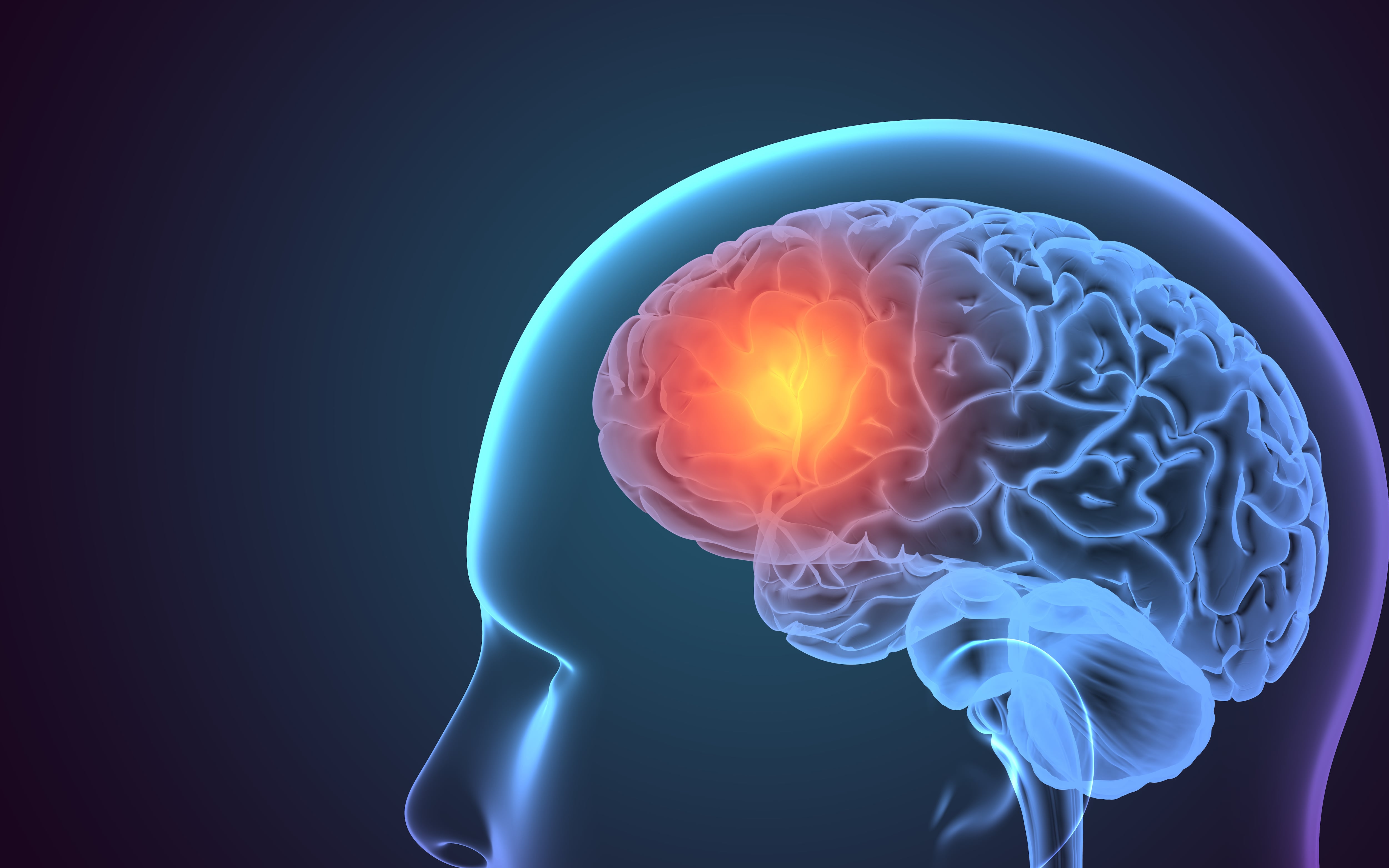 Especialistas advirtieron que en la Argentina persisten desigualdades en el acceso a la atención de la epilepsia por la cobertura médica y la localización geográfica (Freepik)