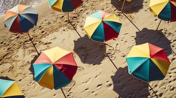 Se recomienda poner bolsas de