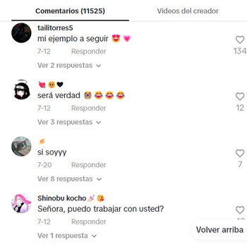 Los comentarios a favor de esta "labor" no se hicieron esperar - crédito ladydaniellag / TikTok