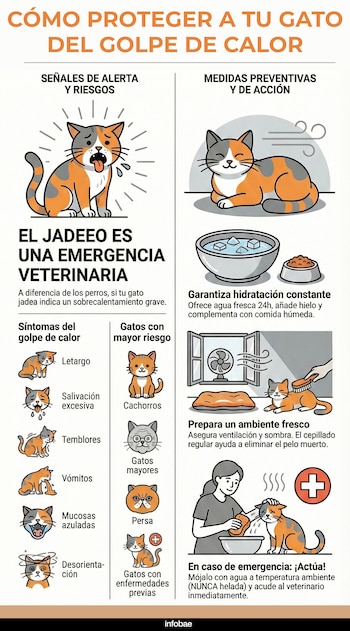 Descubre cómo identificar un golpe