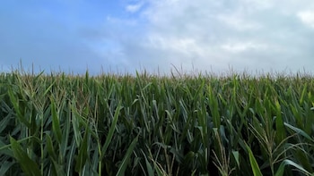 Llegó el momento de mirar