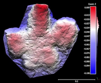 Modelo digital de la huella de un dinosaurio ornitópodo (Charles Helm)
