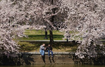 El adelanto en la floración