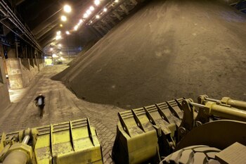 Imagen de archivo de concentrado