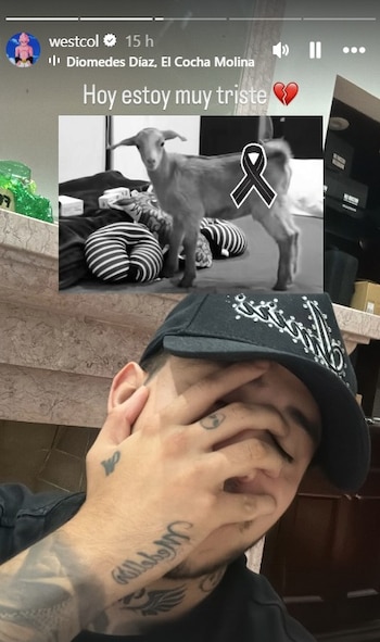 Westcol contó cómo murió la cabra María Antonieta - crédito @westcol