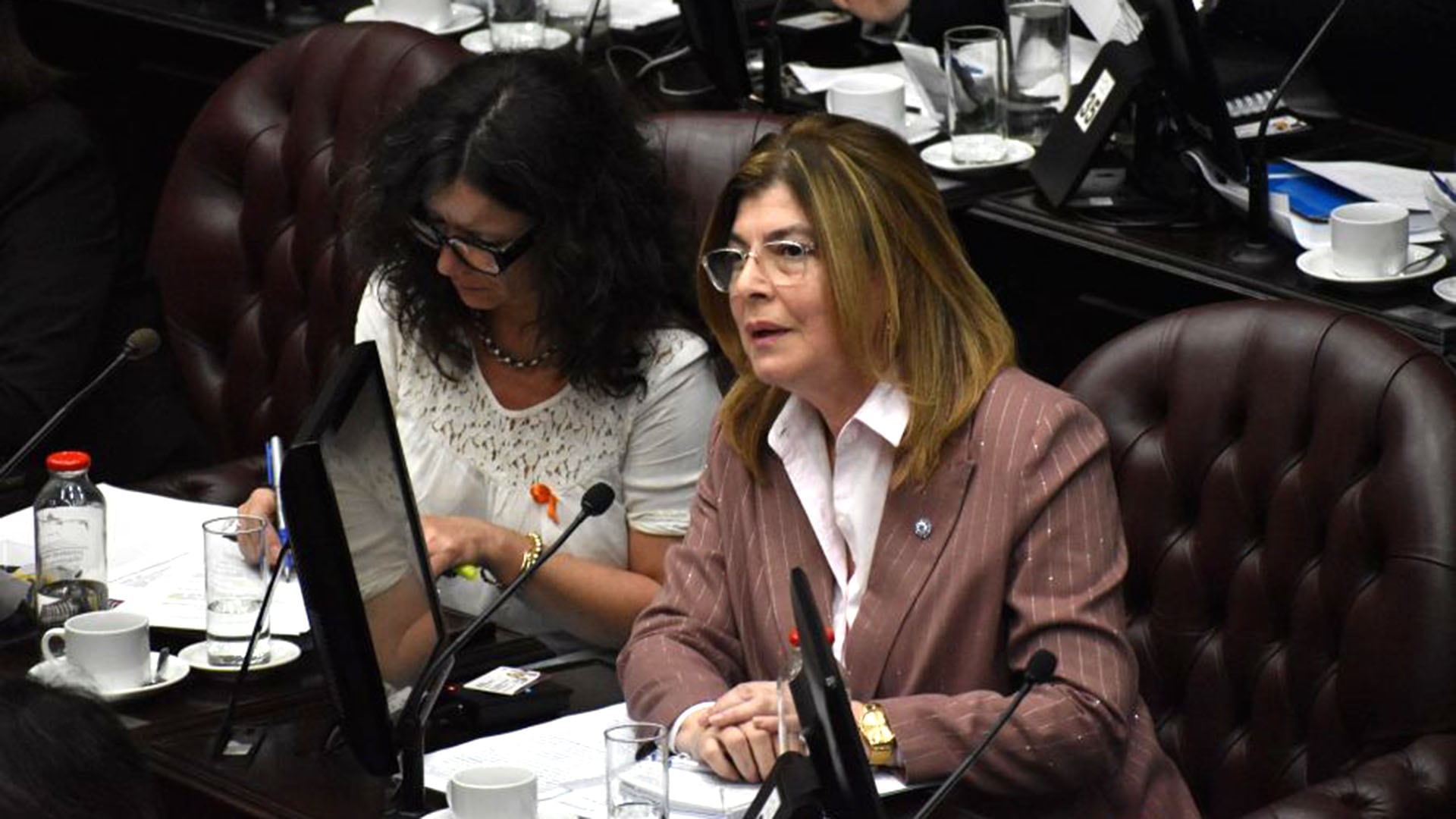 La diputada Fabiana Zárate, miembro informante del proyecto, expone durante la sesión sobre la Ley de habilitación de la Reforma constitucional de la provincia de San Luis