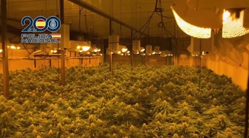 Cae una “macroestructura” en Almería